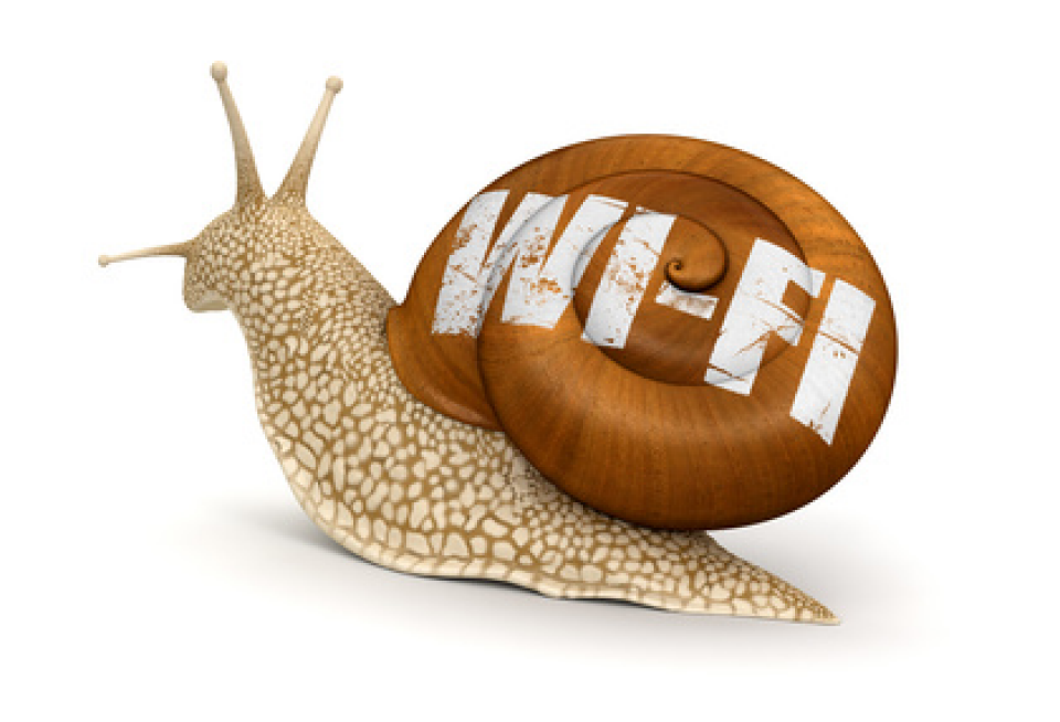 Wifi snail