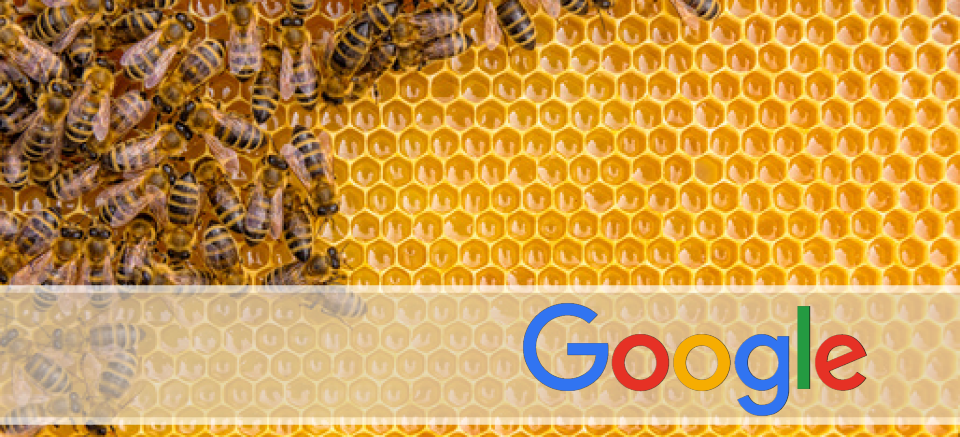 Google is a hive of busy bees