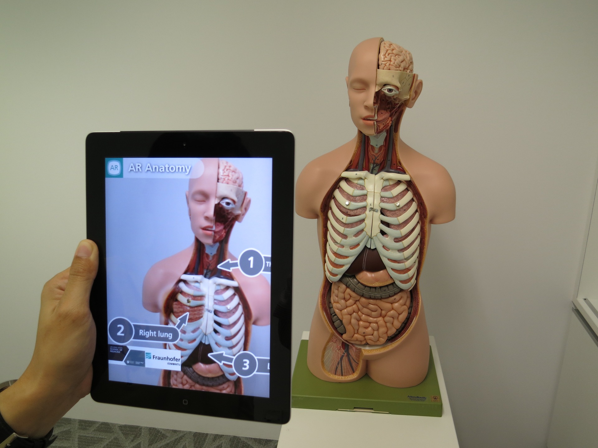 Tablet with AR viewing an anatomical model