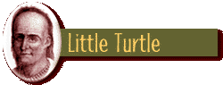 Little Turtle