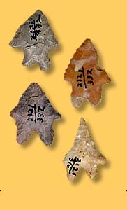 Artifact Examples