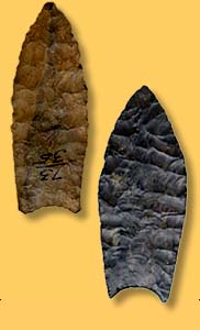   Artifact Examples