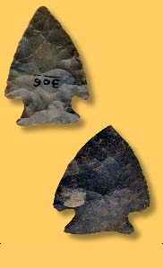   Artifact Examples