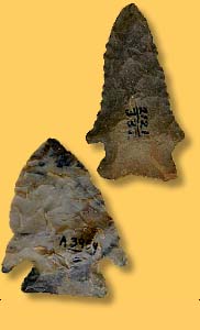   Artifact Examples