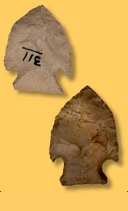   Artifact Examples