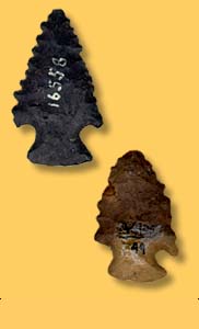   Artifact Examples