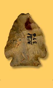   Artifact Examples