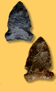 Artifact Examples