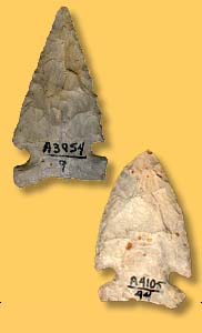   Artifact Examples