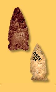   Artifact Examples