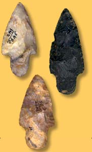   Artifact Examples