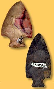   Artifact Examples