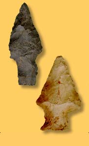   Artifact Examples