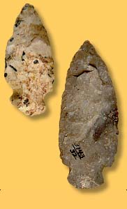 Artifact Examples