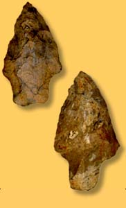 Artifact Examples