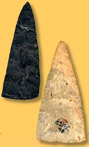   Artifact Examples