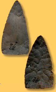   Artifact Examples