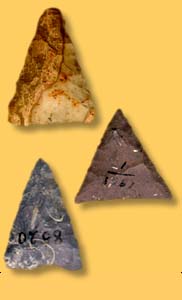   Artifact Examples