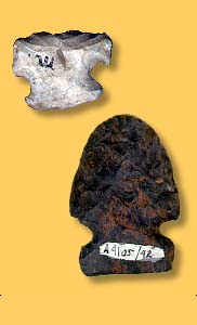 Artifact Examples