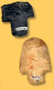 Artifact Examples