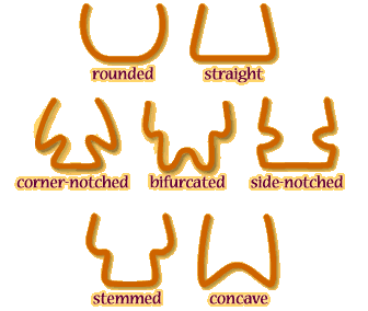 Point Bases (image map)