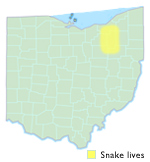 Brahminy Blind Snake Ohio Map