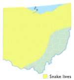 Northern Brown Snake Ohio Map