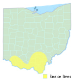 Eastern Smooth Earth Snake Ohio Map