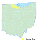 Eastern Fox Snake Ohio Map