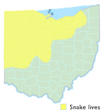 Butler's Garter Snake Ohio Map