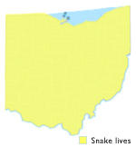 Eastern Garter Snake Ohio Map