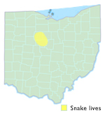 Eastern Plains Garter Snake Ohio Map