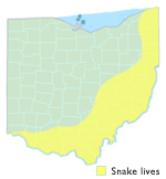 Black Racer Ohio Map