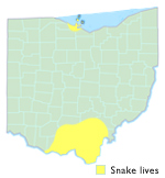 Timber Rattlesnake Ohio Map