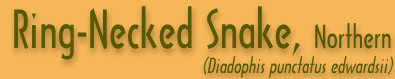 Copperhead Banner