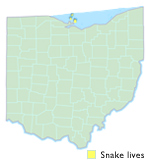 Lake Erie Water Snake Ohio Map